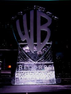 warner bros. ice sculpture world class ice sculpture